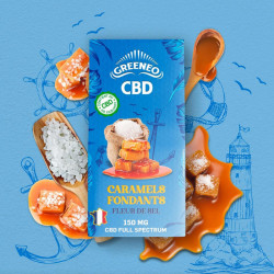 CARAMELS FONDANTS (FLEUR DE SEL) au CBD