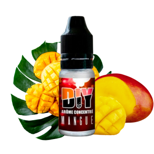 Concentré Mangue / Revolute