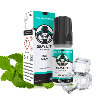 Ice Mint / Salt E-Vapor /Le French Liquide