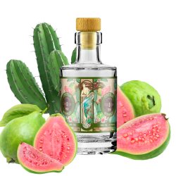 Goyave Cactus 200ml / Curieux Edition Collector