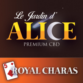 Charras alice