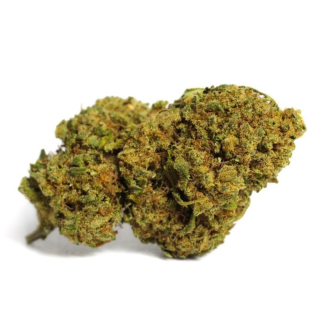 Fleur Twin's Haze / Le Jardin d'Alice