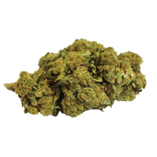 Orange Bud / Green Carpathes