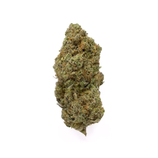 Fleur de CBD - La Sunset Sherbet
