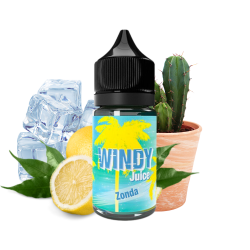 Concentré Zonda / Windy Juice / e.Tasty