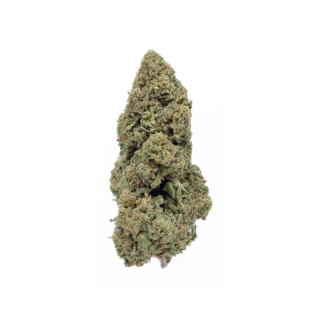 Fleur de CBD Zkittlez / Glass-House