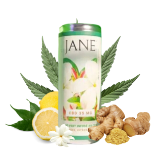 Thé au CBD 35mg Gingembre, Citron & Jasmin / Jane