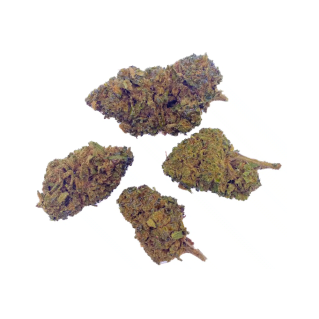 Fleur de H4CBD : La OG Kush