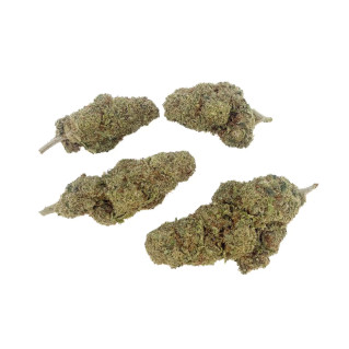 Fleur CBD – Orangello – Indoor