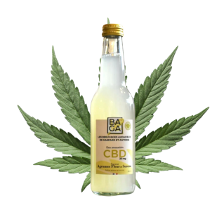 Bouteille - Boisson gazeuse Agrumes Fleur de sureau au CBD / Baga