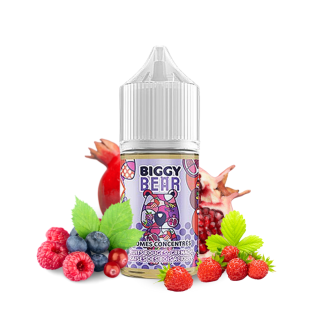 Concentré Fruits Rouges Grenade Fraise des Bois 30ml / Biggy Bear