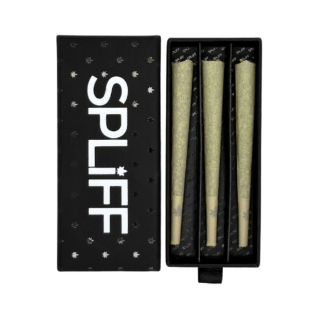 Boite de 3 pré-roulés Spliff CBD Amnesia Haze – 1g / Pré-roulé