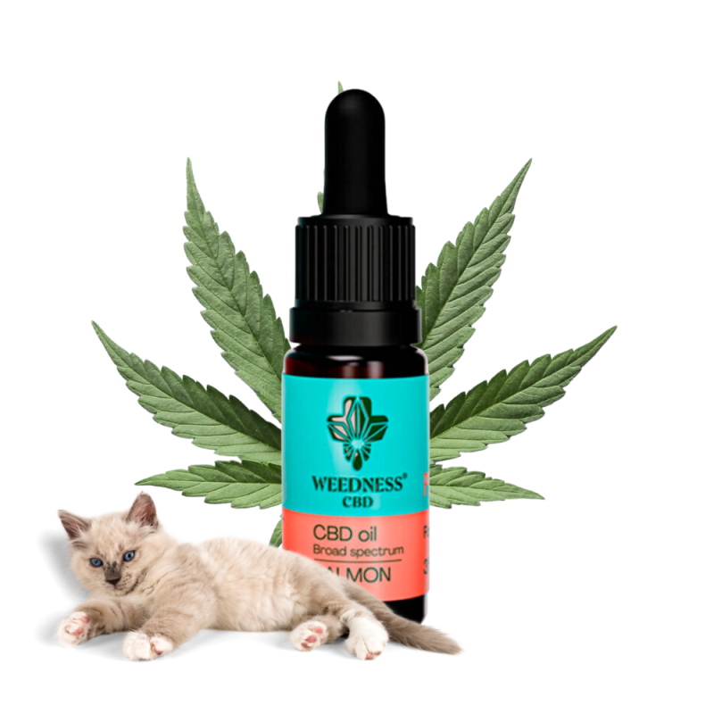 Huile Saumon pour Chats CBD / Weedness CBD