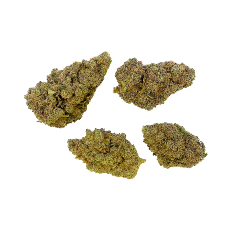 Fleur de CBD : Purple Punch – Indoor