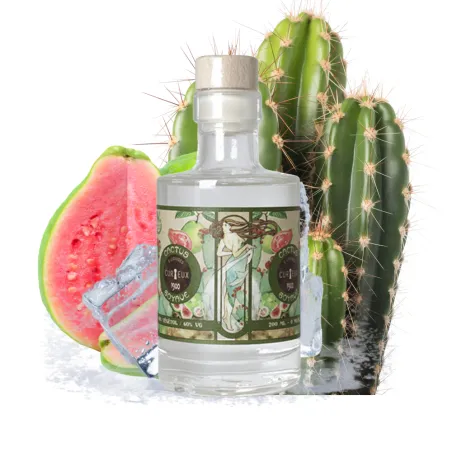 Eliquide Goyave Cactus – Curieux Edition Collector – Curieux