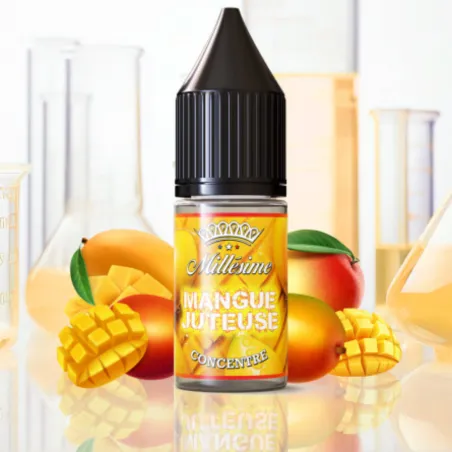 Arôme Concentré Mangue Juteuse – Millésime | Around The Vape