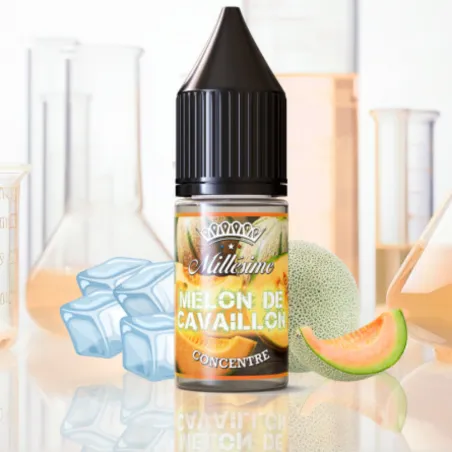 Arôme Concentré Melon de Cavaillon – Millésime