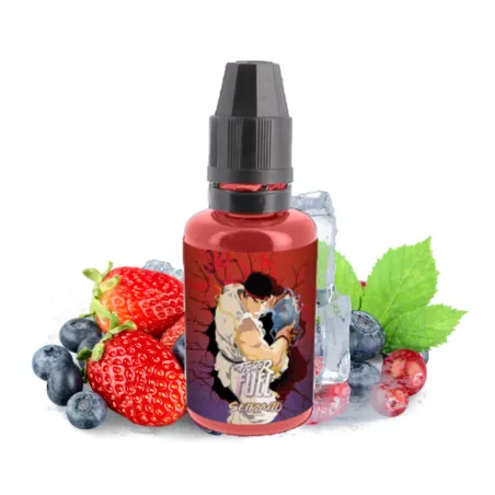Arôme Concentré Seiryuto – Fighter Fuel – Maison Fuel