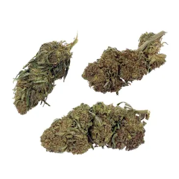 Fleur CBD Jack Herer THC-X Bud Mix / Green House