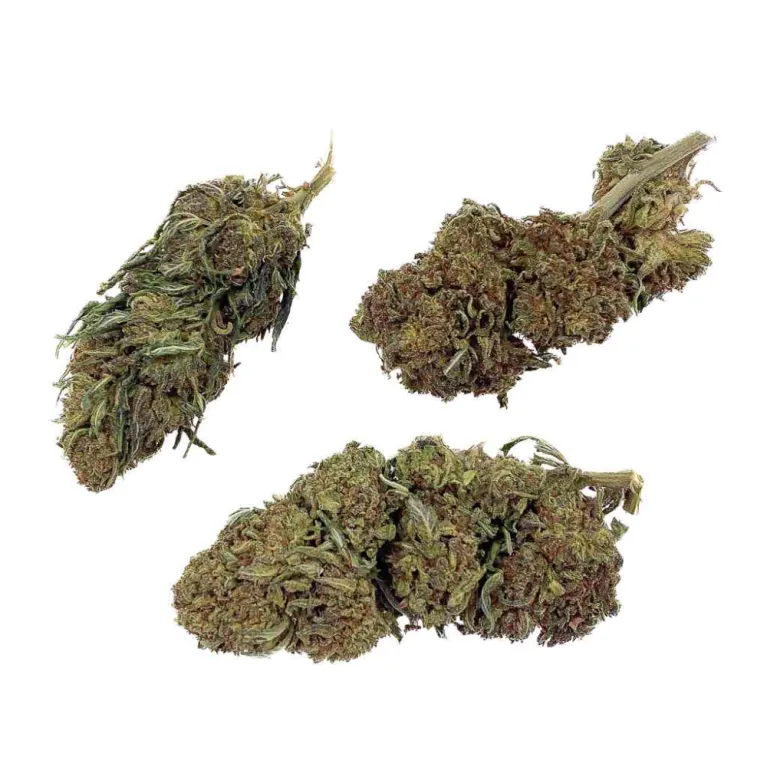 Fleur CBD Jack Herer THC-X Bud Mix / Green House Fleur CBD Jack Herer THC-X Bud Mix / Green House