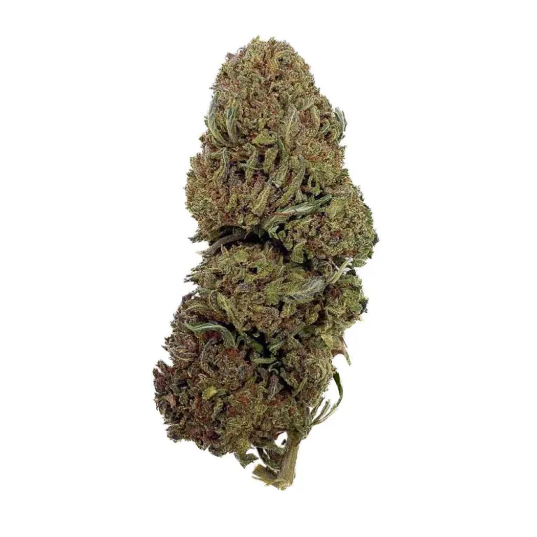 Fleur CBD Jack Herer THC-X Bud Mix / Green House Fleur CBD Jack Herer THC-X Bud Mix / Green House