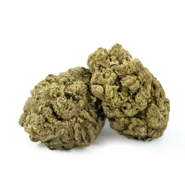 Fleur de CBD Gelato RAF