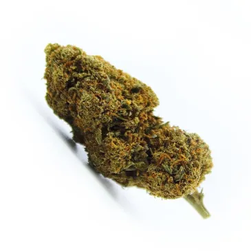 Fleur de CBD Fruit Cake