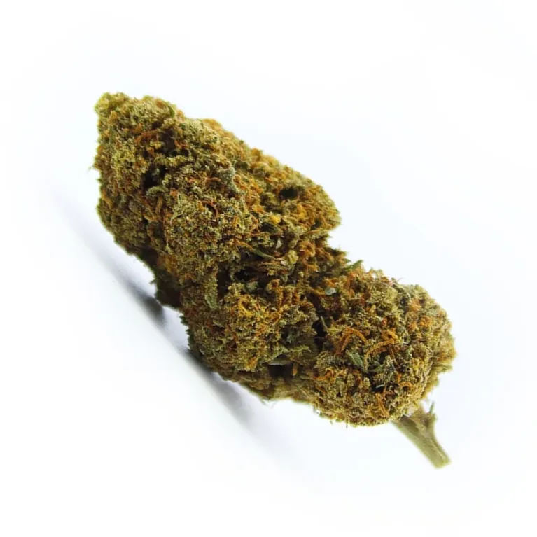 Fleur de CBD Fruit Cake