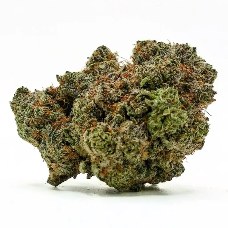 Fleur de CBD Rainbow