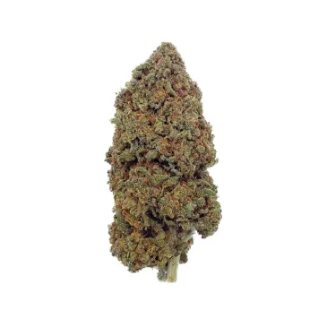 Fleur de CBD - Cheese - Bud Mix - Glass House