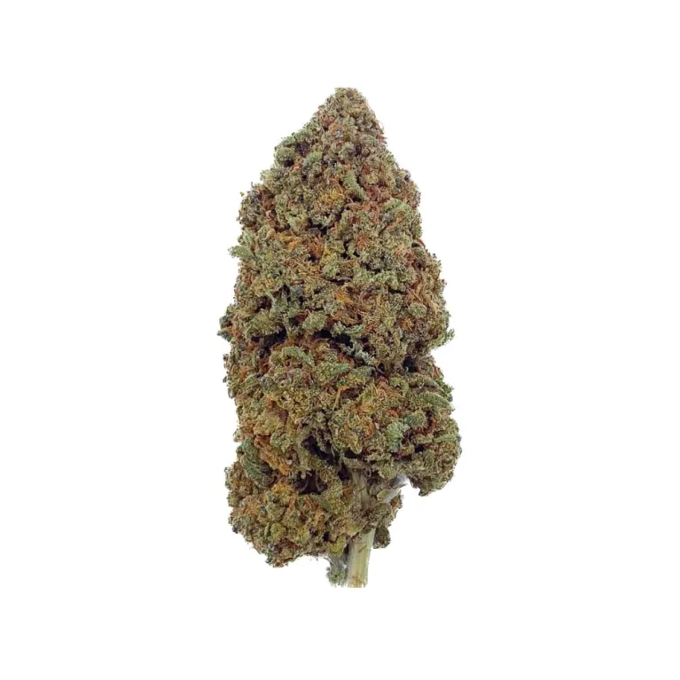 Fleur de CBD - Cheese - Bud Mix - Glass House Fleur de CBD - Cheese - Bud Mix - Glass House