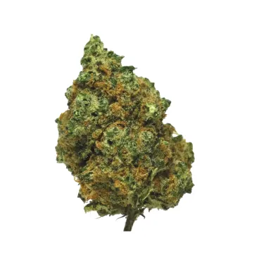 Fleur de CBD - Amnésia Super Strains