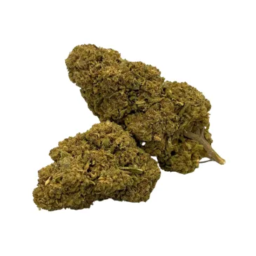 Fleur de CBD - Tropicana Banana - Greenhouse
