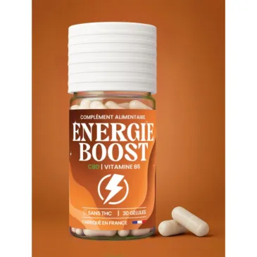 Gélules Energie Boost / Millésime