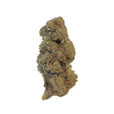 Fleur de CBD - Indoor Rolex