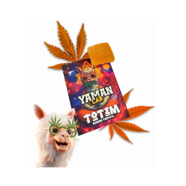 Totem Bonbon Tropical / Yaman Lab