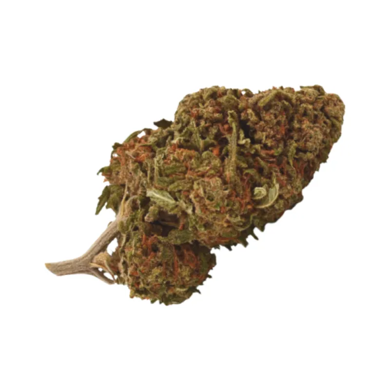 Fleur de CBD - Blueberry Green House