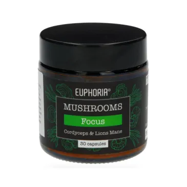 Champignons Euphoria capsules Focus