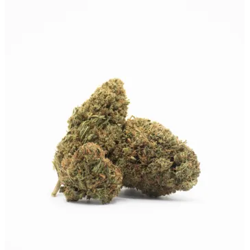 Fleur de CBD Moléculée - La Lemon Cherry