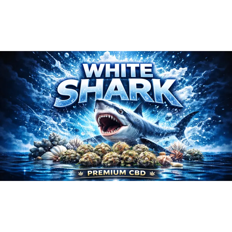 Fleur de CBD Moléculée - La White Shark