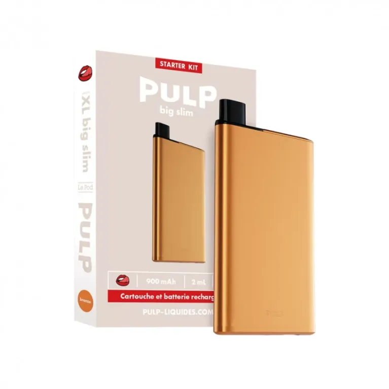 Starter Kit Rechargeable Big Slim / Pod Slim XXL / PULP