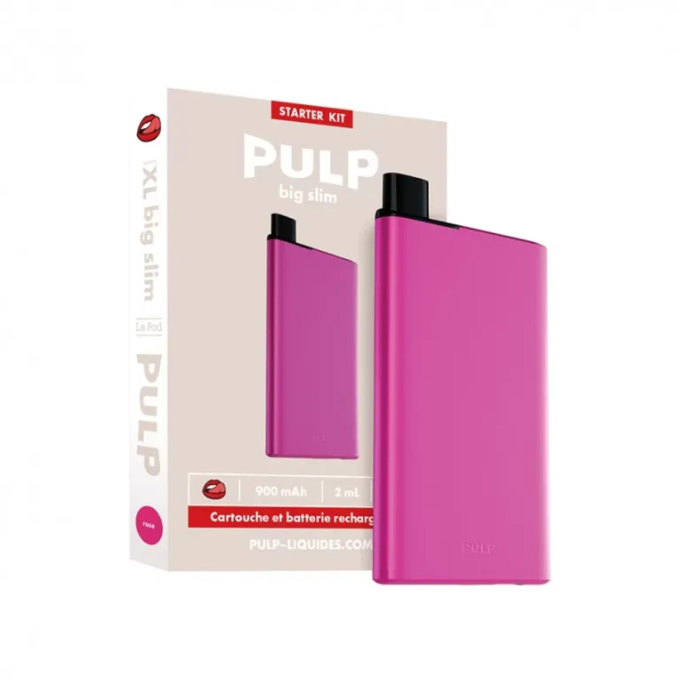 Starter Kit Rechargeable Big Slim / Pod Slim XXL / PULP