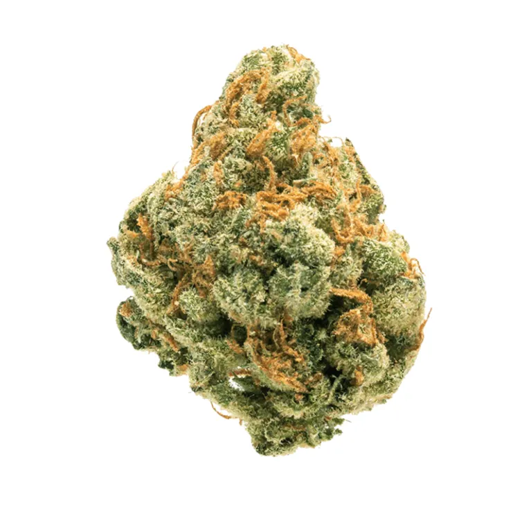 Fleur 🌈 Rainbow CBE CBD - Fleur molécularisée