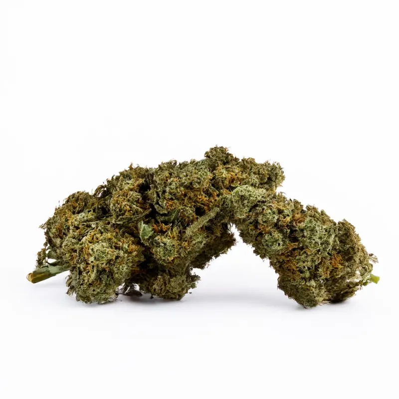 Fleur de CBD : La Amnésia JSH Indoor