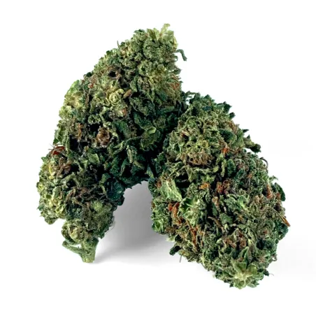Fleur de CBD : La Gelato Indoor | Around The Vape