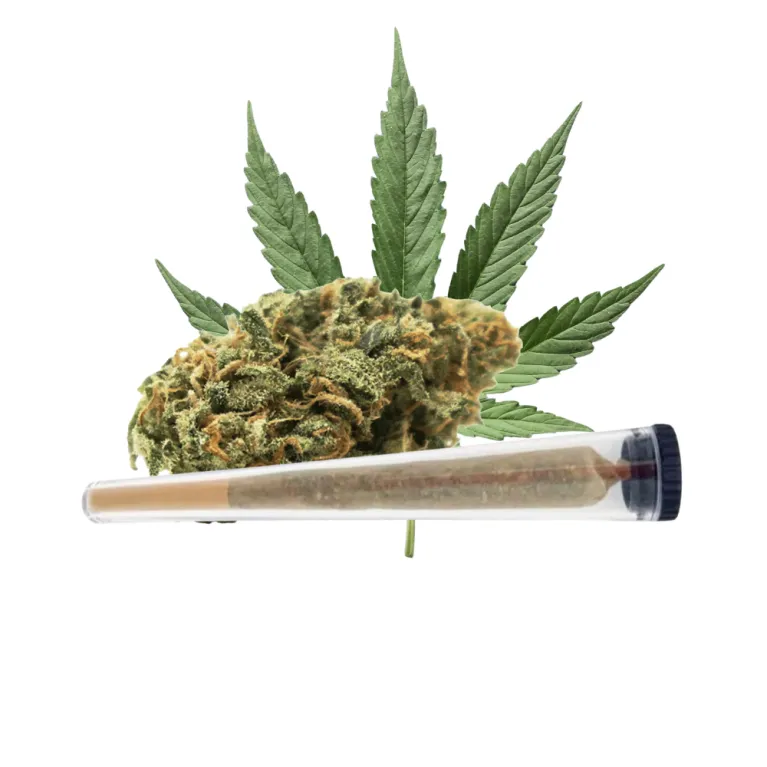 Pré-roll Ultra / NBK