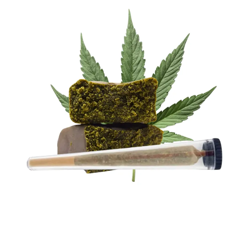 Pré-roll Venum / NBK