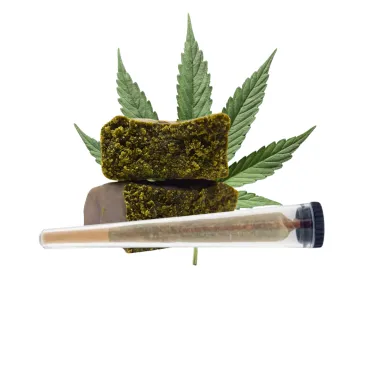 Pré-roll Venum / NBK