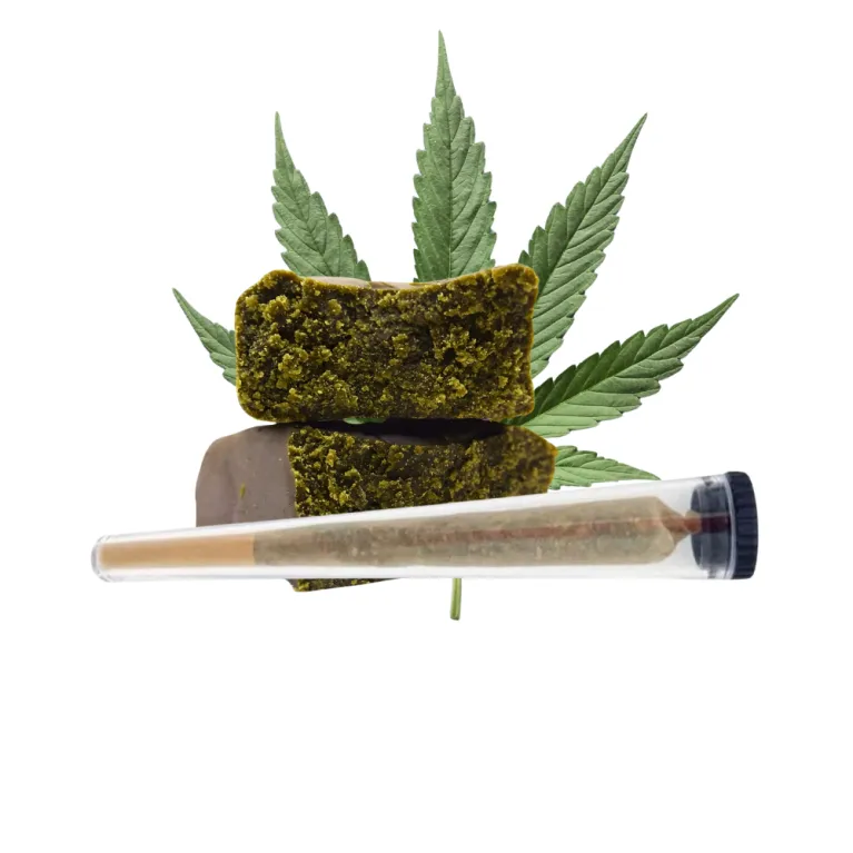 Pré-roll Venum / NBK