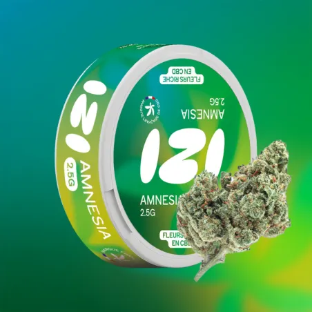 Fleur de CBD : Amnesia 2,5 grammes – IZI | Around The Vape